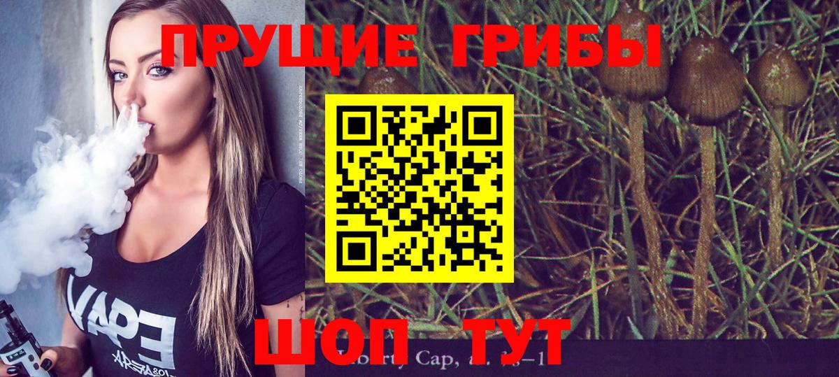 Галлюциногенные грибы мухоморы Петропавловск-Камчатский