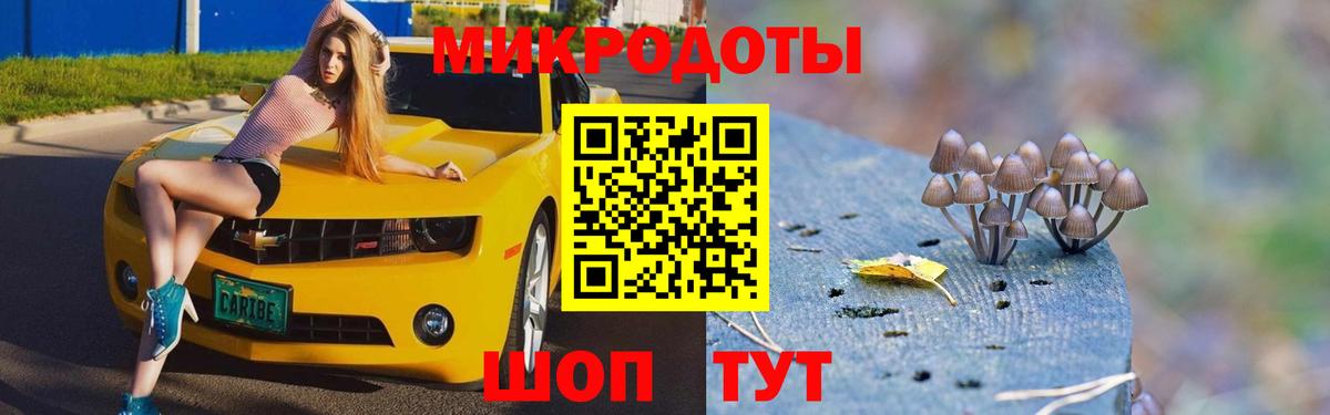 Псилоцибиновые грибы GOLDEN TEACHER  Псилоцибиновые грибы Psilocybe  Петропавловск-Камчатский  Вход с VPN 